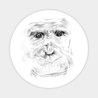 Chimpanzee Portrait Magnet
